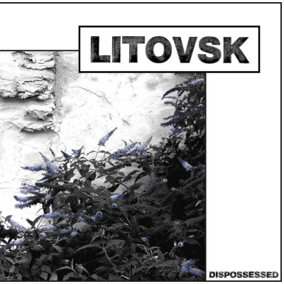 Litovsk - Dispossessed